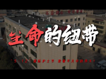 【健康渭南】5·12國際護士節|生命的紐帶