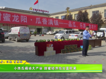 小西瓜撬動(dòng)大產(chǎn)業(yè) 甜蜜經(jīng)濟(jì)結(jié)出富民果