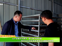 【十年駐村路 共筑振興夢】以產(chǎn)業(yè)振興為抓手 凝心聚力謀發(fā)展——陜西省市場監(jiān)督管理局定點(diǎn)幫扶蒲城縣