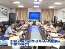 王琦參加所在黨支部深入貫徹中央八項規定精神學習教育集中學習