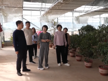 市水保移民中心組織開展全市大中型水庫移民后期扶持資金管理使用情況調研工作