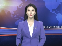 菊峰檢查第九屆絲博會臨渭展區參展布展工作