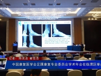 中國康復醫學會足踝康復專業委員會學術年會在臨渭區舉辦