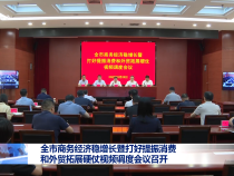 全市商務經濟穩增長暨打好提振消費和外貿拓展硬仗視頻調度會議召開