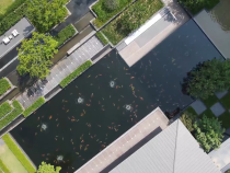 從一池錦鯉到品質初心，上上玫瑰園的匠心藏在這些細節里