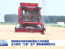 陳曉勇在華陰市調(diào)研夏收工作時(shí)強(qiáng)調(diào) 全力抓好“三夏”生產(chǎn) ?確保夏糧顆粒歸倉