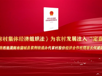 《農(nóng)村集體經(jīng)濟(jì)組織法》為農(nóng)村發(fā)展注入“定盤星”一一陜西省渭南市蒲城縣紫荊街道辦代家村股份經(jīng)濟(jì)合作社理事長何建國說法