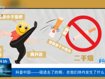 【渭南科普】科普中國——吸進(jìn)去了的煙，在我們體內(nèi)發(fā)生了什么？