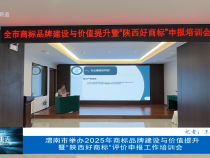 渭南市舉辦2025年商標品牌建設與價值提升暨“陜西好商標”評價申報工作培訓會