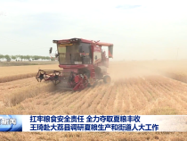扛牢糧食安全責(zé)任 全力奪取夏糧豐收 王琦赴大荔縣調(diào)研夏糧生產(chǎn)和街道人大工作