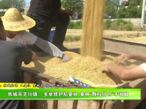 韓城市之川鎮：多舉措護航夏收 奏響“顆粒歸倉”豐收曲