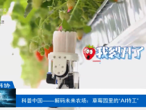 【渭南科普】科普中國——解碼未來農(nóng)場：草莓園里的“AI特工”