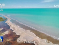 【牢記囑托·看見美好中國】讓高原生態永葆美麗底色