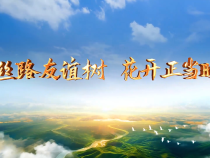 大道之行丨絲路友誼樹 花開正當時