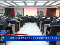 臨渭區委召開常委會會議暨黨的建設工作領導小組會議 