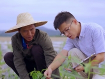 學習知行·中國式現代化丨在希望的田野上