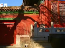 壹視界·微視頻｜從一塊隋碑保護，感悟總書記的文化情懷