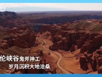 走進哈薩克斯坦，譜寫中國－中亞命運共同體新篇章