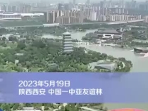 友誼碩果盈枝頭