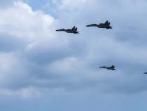 時政畫說丨又到石榴花開時