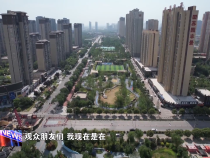 海綿城市的生態答卷