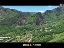 微視頻｜為了心中那一抹綠色