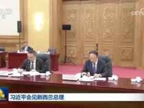 習近平會見新西蘭總理拉克森