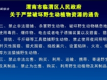 渭南市臨渭區人民政府 關于嚴禁破壞野生動植物資源的通告