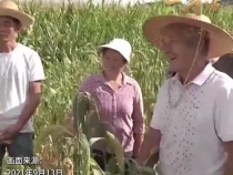 中國人要把飯碗端在自己手里