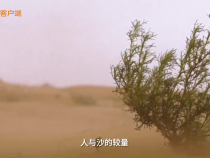 習(xí)近平牽掛防沙治沙