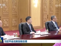 習(xí)近平會見新加坡總理黃循財