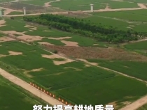 耕地是糧食生產(chǎn)的命根子
