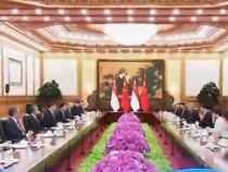 聯(lián)播+｜中新合作樹標(biāo)桿