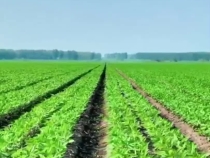 學(xué)而時習(xí)之｜牢牢守住耕地保護紅線