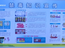 全民禁毒在行動(dòng) 共筑無毒新防線