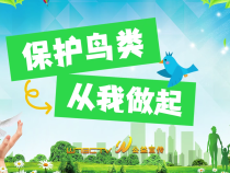 《保護鳥類 從我做起》公益宣傳