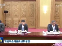 習(xí)近平會見塞內(nèi)加爾總理松科