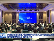 陜西鋁鎂鉬深加工產業鏈推介招商簽約互采對接會在渭南舉行 樊維斌韓宏琪出席 陳曉勇致辭