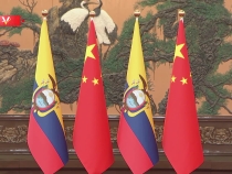 獨家視頻丨習(xí)近平會見厄瓜多爾總統(tǒng)：推動中厄全面戰(zhàn)略伙伴關(guān)系不斷走深走實