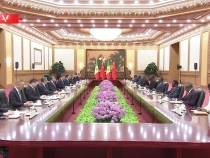 獨家視頻丨習(xí)近平會見塞內(nèi)加爾總理：為中非友好和全球南方合作注入更多動力