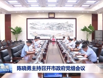 陳曉勇主持召開市政府黨組會議