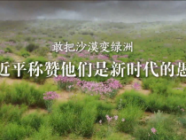 學習·故事丨敢把沙漠變綠洲 習近平稱贊他們是新時代的愚公