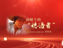 田埂上的“穗語者”