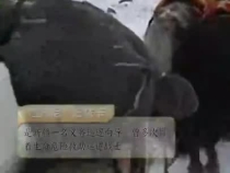 天天學習｜他們的樣子