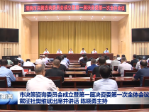 市決策咨詢委員會成立暨第一屆決咨委第一次全體會議召開 戴征社樊維斌出席并講話 陳曉勇主持