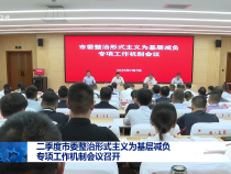 二季度市委整治形式主義為基層減負專項工作機制會議召開
