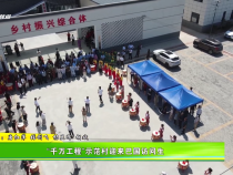 “千萬工程”示范村迎來巴國訪問生