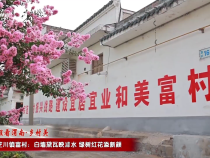 【千萬工程看渭南·鄉村美】韓城市芝川鎮富村：白墻黛瓦映澽水 綠樹紅花添新顏