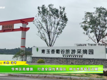 華州區高塘鎮：打造全國優秀園區  種出世界極品玉葡