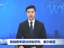 陳曉勇率團訪問匈牙利、塞爾維亞